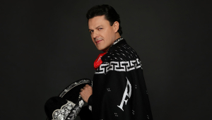 Image of Pedro Fernández - Ave Fénix Two'r